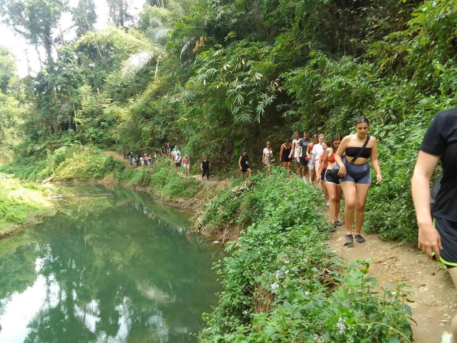Khao Sok Inn Hostel Khao Sok National Park Bagian luar foto